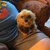 Lela Dunn - Facebook