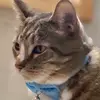 leladunn07 - @leladunn07 - TikTok