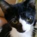 LeLa Farrell - Facebook