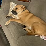 Snoop & Lela Foster - @fosters0217 - Instagram