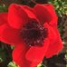 Lela Hampton - Facebook
