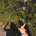 Leila Magee - Facebook