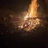 Lela.Phillips091209 - @lelaphillips6 - TikTok