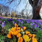 Lela Popescu - Facebook