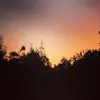 Leila Richards - @the_elite_leila - TikTok