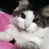 lelarussell06 - @lelarussell06 - TikTok