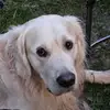 lela russom - @lela.russom - TikTok