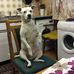 Layla Sims - Facebook