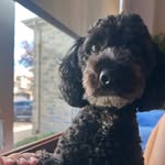 Leïla Vincent - @leila_vin100 - Instagram