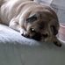 Layla Walton - Facebook