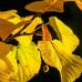 Leland Bartlett - Facebook