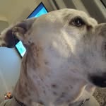 Leland bateson - @leland.bateson - Instagram