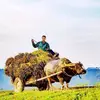 Trần Nhật Thắng - @lelandbecker731 - TikTok