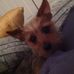 Nancy Benson Ely - Facebook