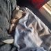 Leland Blanks - Facebook