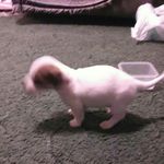Jacob Leland Brooks Rogers - @jacoblelandbrooksrogers - Instagram