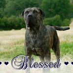Leland Casey - Facebook