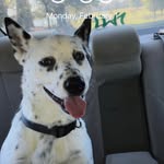 Lelanddaniel - @lelanddaniel6 - Instagram