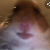 Leland Dotson - @walters999iq - TikTok