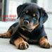 Leland Dunlap - Facebook