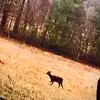 lelanddunlap95 - @lelanddunlap95 - TikTok