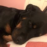Leland Edwards - @lelandedwards69 - Instagram