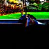 Leland - @leland.edwards - TikTok