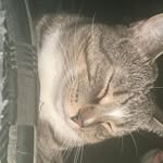 Leland Evans - @leland15138 - Instagram