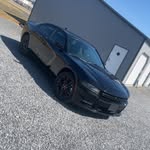 Leland Fox - @leebug__fox - Instagram