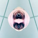 Leland Gilbert - @leland.gilbert.4 - Instagram