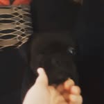 Leland Evean Guy - @lelandguy2413 - Instagram