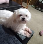 Darlene Harrell - Facebook