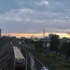 Fakten die keiner kennt - @lelandhoffmann2 - TikTok