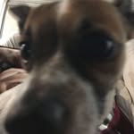 Leland Howell - @lelandhowell.sh - Instagram