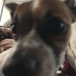 Leland Howell - @lelandhowell.sh - Instagram