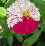 Leland Key - Facebook