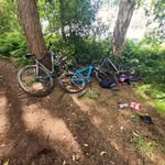 Leland Mann - @leland77777 - Instagram