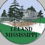 @lelandmayorsyouthcouncil2.0 - Instagram