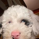LeLand Morrocco - @lelandmorrocco - Instagram