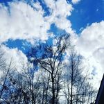 lelandpearson - @leland_pearson132741 - Instagram