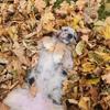 Leland Saunders - @leland.saunders - TikTok