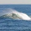 Leland Stephens - @leland.stephens - TikTok
