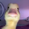 Leland_Walker - @leland_walker - TikTok