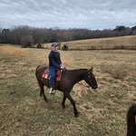 Leland Webb-Dyson - @lelandwebbdyson - Instagram
