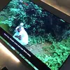 Lelewise.75 - @lelewise.75 - TikTok