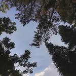 @_lelichen - Instagram