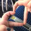 leli_die_kommischen - @leli_die_kommischen - TikTok