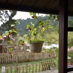 Lelichen0511 - @lelichen0511 - Instagram