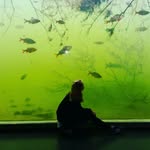 lelichen - @lelichen_unicorn05 - Instagram