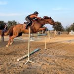 Lelia - @lelia_albertini - Instagram